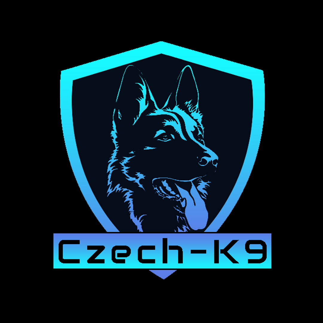 GSD Safety-K9 Training | Scottsdale Dog Trainers