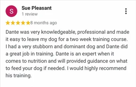 Dog Trainer Review