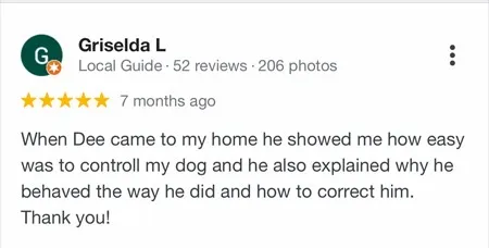 Amazing Dog Trainer In Scottsdale, AZ