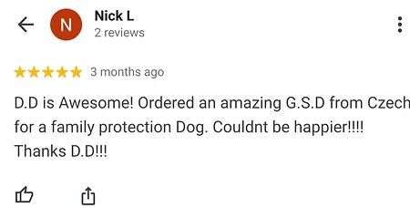 Amazing Dog Trainer In Scottsdale, AZ