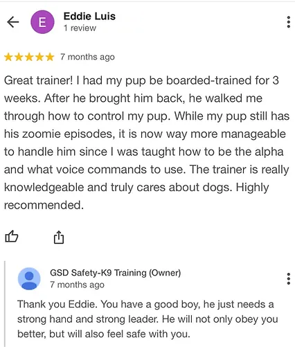 Best Dog Trainers Scottsdale