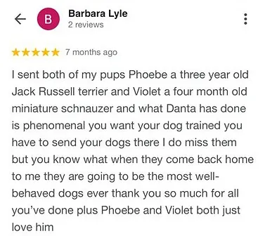 Scottsdale Dog Trainer Review