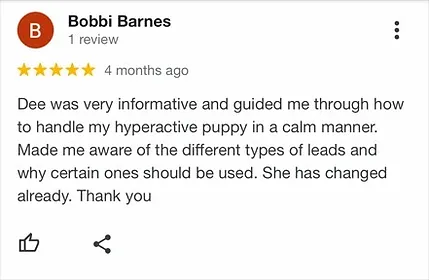 Scottsdale Dog Trainer Review