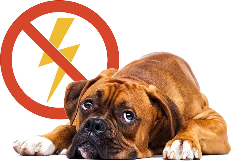 GSD Safety-K9TRaining no shock policy